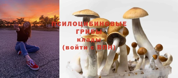 шишки Белоозёрский