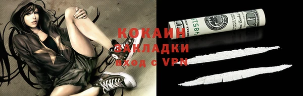 шишки Белоозёрский