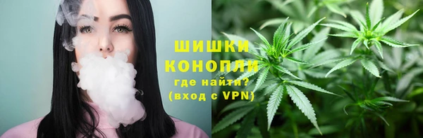 метадон Белокуриха
