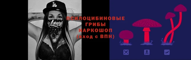 jwh Беломорск