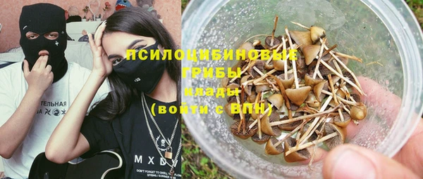 шишки Белоозёрский