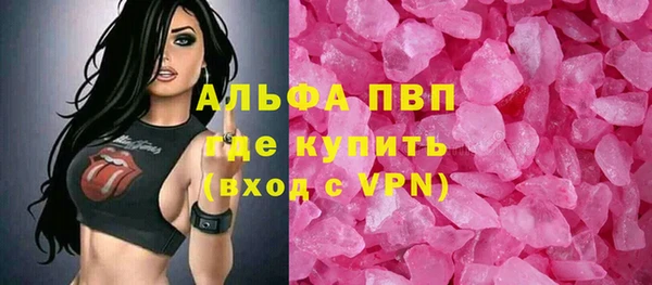 шишки Белоозёрский