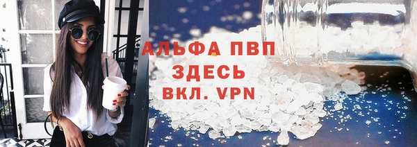 шишки Белоозёрский