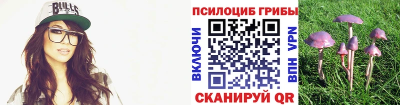 Псилоцибиновые грибы прущие грибы  Великий Устюг 
