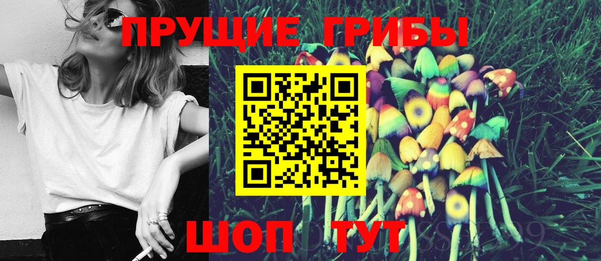 Галлюциногенные грибы Psilocybine cubensis  Вход с VPN  Галлюциногенные грибы Magic Shrooms  Великий Устюг 