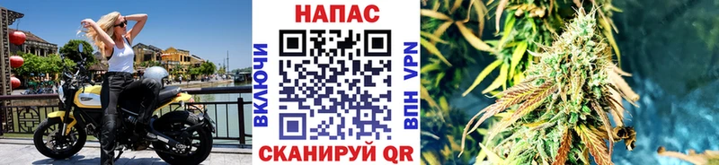 МЕГА tor  как найти закладки  Великий Устюг  Каннабис план 
